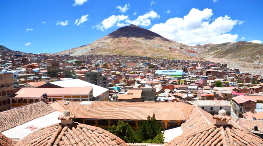 Quais são as escolhas de veículos mais populares em Potosí?